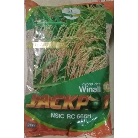 jackpot hybrid rice price philippines|Retail Price .